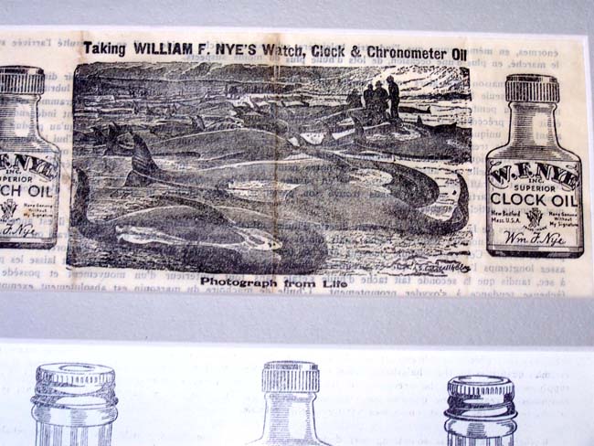 An interesting framed grouping of 19th century Whaling related items — image 4